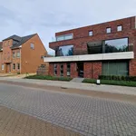 Rent 3 bedroom apartment in Schriek