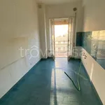 Rent 3 bedroom apartment of 100 m² in Tivoli