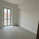 Rent 3 bedroom apartment of 70 m² in Turin