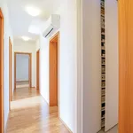 Rent 4 bedroom apartment of 96 m² in Ostrava