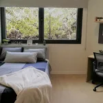 Studio of 16 m² in Granada