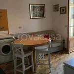 Rent 1 bedroom apartment of 40 m² in Firenze