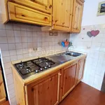 Rent 4 bedroom apartment of 60 m² in Borca di Cadore