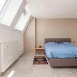 Huur 3 slaapkamer appartement in Edegem