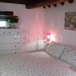 Rent 1 bedroom apartment of 38 m² in Firenze