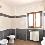 Rent 3 bedroom apartment of 80 m² in Sezze