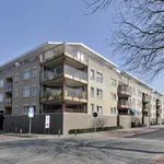 Rent 2 bedroom apartment of 77 m² in Valkenswaard