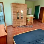 Rent 1 bedroom apartment in Oancea