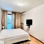 Rent 3 bedroom apartment of 95 m² in Praha