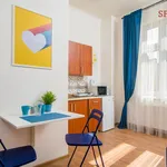 Rent 1 bedroom apartment of 17 m² in Prague