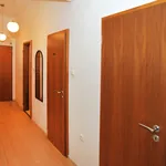 Rent 2 bedroom apartment of 50 m² in Prague