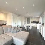 Flat - apartment for rent - Lievegem