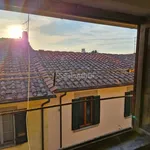 Rent 3 bedroom apartment of 60 m² in Pisa