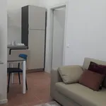 Rent 1 bedroom apartment of 50 m² in Colorno