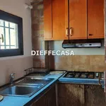 Rent 2 bedroom house of 50 m² in Marsala