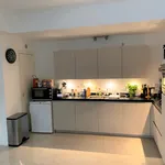 Rent 2 bedroom apartment of 85 m² in Haarlem