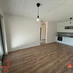 Rent 2 bedroom apartment in Plzeň