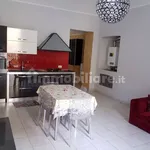 Rent 2 bedroom apartment of 65 m² in Turin