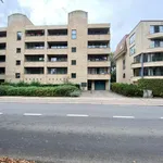 Rent 2 bedroom apartment of 83 m² in Kessel-Lo