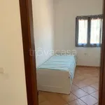 Rent 3 bedroom apartment of 70 m² in Olbia