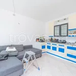 Rent 3 bedroom apartment of 75 m² in Torino