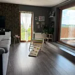 Pronajměte si 4 ložnic/e byt o rozloze 153 m² v Pilsen