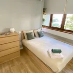 Rent 1 bedroom apartment in Madrid