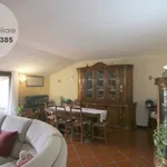 Rent 6 bedroom apartment of 150 m² in Tornimparte