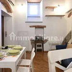 Rent 3 bedroom apartment of 75 m² in Pisa