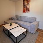 Spacious & modern flat in Aschaffenburg, Aschaffenburg - Amsterdam Apartments for Rent