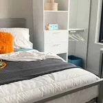 Rent 1 bedroom apartment in Ottawa