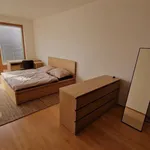 Rent 2 bedroom apartment of 63 m² in Capital City of Prague