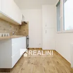 Pronájem bytu 2+1 54m²