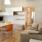 Rent 3 bedroom apartment of 60 m² in Cesenatico