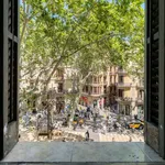 Rent a room of 105 m² in barcelona