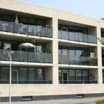 Rent 3 bedroom apartment of 111 m² in Papendrecht