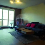 Rent 4 bedroom apartment of 83 m² in Vandoeuvre Les Nancy