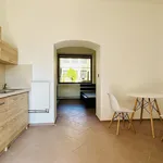 Rent 1 bedroom apartment of 28 m² in Černá Hora