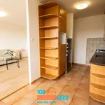 Rent 3 bedroom apartment of 73 m² in Praha