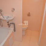 Rent 1 bedroom apartment of 19 m² in Ústí nad Labem