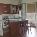 Rent 3 bedroom apartment of 110 m² in Piacenza