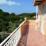 Rent 4 bedroom house of 110 m² in Livorno