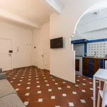 Rent 1 bedroom apartment in Florence