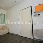 Rent 3 bedroom apartment of 60 m² in Pisa