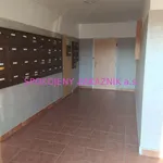 Rent 1 bedroom apartment in Česká Lípa