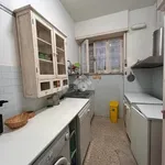 Rent 3 bedroom apartment of 80 m² in Roma