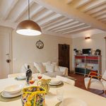 Rent 3 bedroom apartment in Cortona