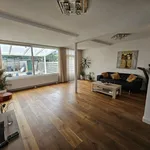 Rent 4 bedroom house of 121 m² in Haarlem