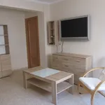 Rent 3 bedroom apartment of 64 m² in Valencia']