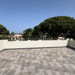 Rent 5 bedroom house of 320 m² in Messina